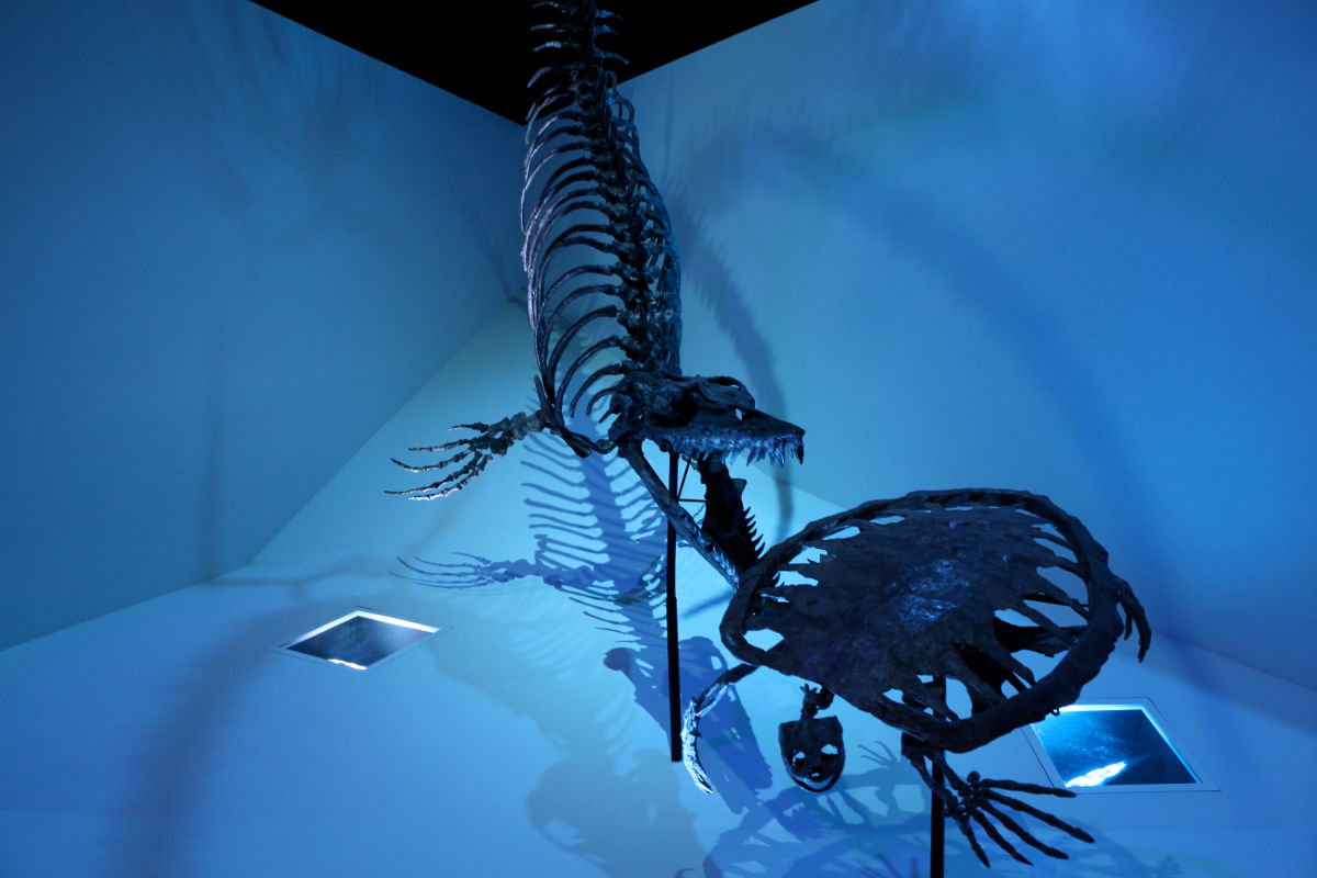 A Trip to the Houston Museum of Natural Science | The Buzz Magazines